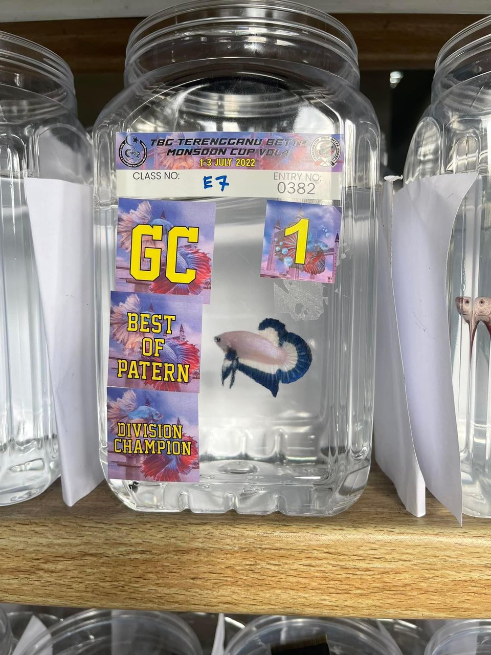 betta
